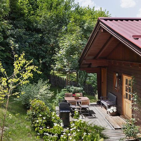 Ferienhaeuser Gerhart Хаус-им-Энншталь Экстерьер фото